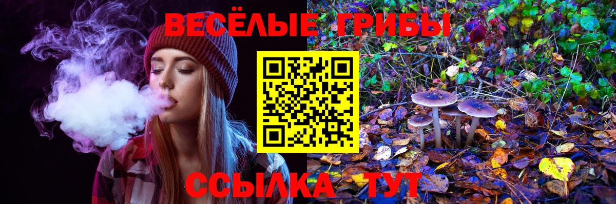 Псилоцибиновые грибы Psilocybine cubensis  Вход с VPN  Кубинка 
